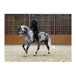 Adepto Dressage Horse Saddle Pad Beetle Khaki Green - Item # 51399
