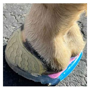 EasyShoe One Glue Horseshoes 126 mm (2 ct) - Item # 51536