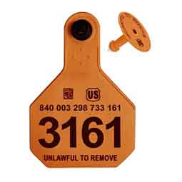 840 UHF 4-Star Tamper Proof 1-Sided Ear Tag Orange - Item # 51548