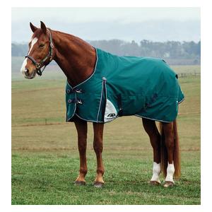 Comfitec Plus Dynamic Turnout Medium Horse Blanket with Standard Neck Forest Green/Navy - Item # 51579