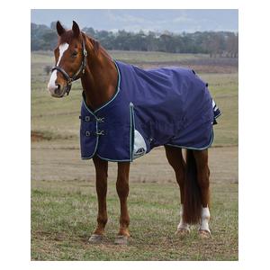 Comfitec Plus Dynamic Turnout Medium Horse Blanket with Standard Neck Navy/Forest Green - Item # 51579