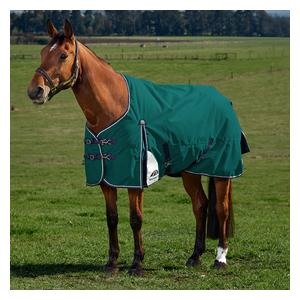 Comfitec Plus Dynamic Turnout Standard Neck Horse Blanket Forest Green/Navy - Item # 51581