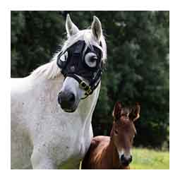 Curragh Light Mask for Horses Black - Item # 51592