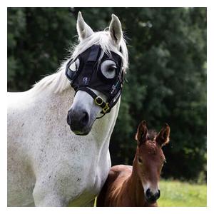 Curragh Light Mask for Horses