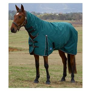 Comfitec Classic Turnout Medium Horse Blanket with Combo Neck Forest Green/Black - Item # 51628