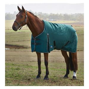 Comfitec Classic Turnout Medium Horse Blanket with Standard Neck Forest Green/Black - Item # 51631