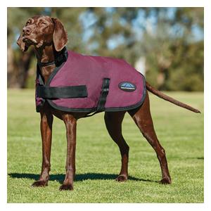 Comfitec Classic Waterproof Dog Coat Burgundy - Item # 51666
