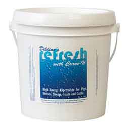 Dildine's Refresh with Crave-It for Horses and Livestock 5 lb - Item # 51678