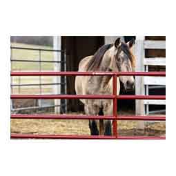 AgStar Gate Red - Item # 51684
