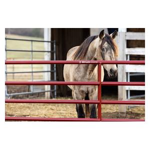 AgStar Gate Red - Item # 51684