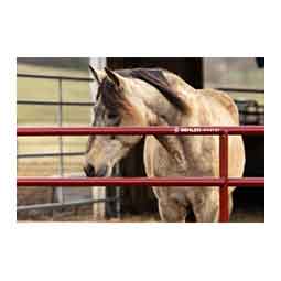 AgStar Gate Red - Item # 51684