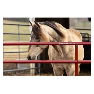 AgStar Gate Red - Item # 51684