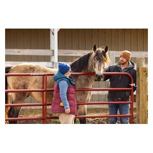 AgStar Gate Red - Item # 51684
