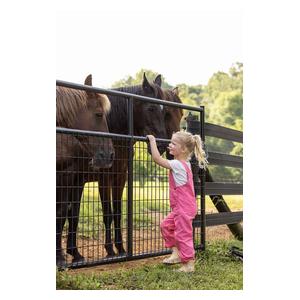 Frontier Gate Black - Item # 51689