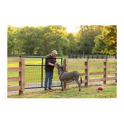 Frontier Gate Black - Item # 51689