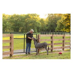 Frontier Gate Black - Item # 51689