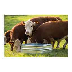 Farmstead Square Galvanized Stock Tank 60 gallon (34 in sq x 12 in H) - Item # 51705