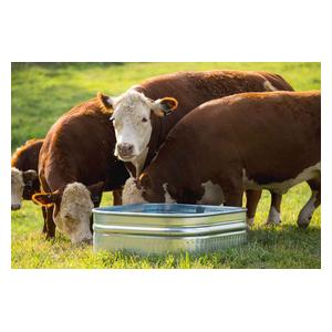 Farmstead Square Galvanized Stock Tank 60 gallon (34 in sq x 12 in H) - Item # 51705