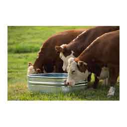 Farmstead Square Galvanized Stock Tank 60 gallon (34 in sq x 12 in H) - Item # 51705