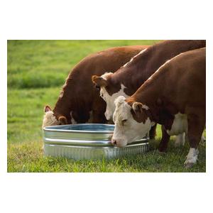 Farmstead Square Galvanized Stock Tank 60 gallon (34 in sq x 12 in H) - Item # 51705