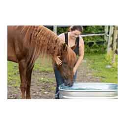 Farmstead Square Galvanized Stock Tank 120 gallon (34 in sq x 24 in H) - Item # 51706