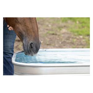 Farmstead Square Galvanized Stock Tank 120 gallon (34 in sq x 24 in H) - Item # 51706