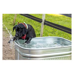 Farmstead Square Galvanized Stock Tank 120 gallon (34 in sq x 24 in H) - Item # 51706