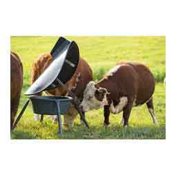 AeroGuard Max Mineral Feeder Gray - Item # 51747