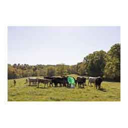 Pasture Max Mineral Feeder Green - Item # 51748