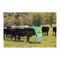 Pasture Max Mineral Feeder Green - Item # 51748