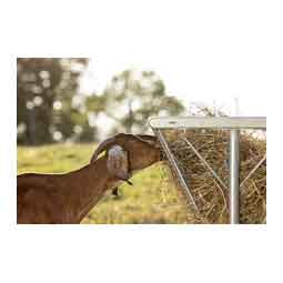 Foreman Pro All-In-One Feed Station for Livestock Black/Galvanized - Item # 51770