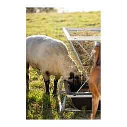 Foreman Pro All-In-One Feed Station for Livestock Black/Galvanized - Item # 51770