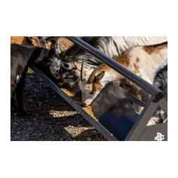 Commander Anti-Tip Feeder for Livestock Gray - Item # 51772