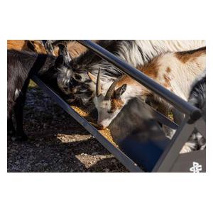 Commander Anti-Tip Feeder for Livestock Gray - Item # 51772