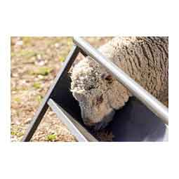 Commander Anti-Tip Feeder for Livestock Gray - Item # 51772