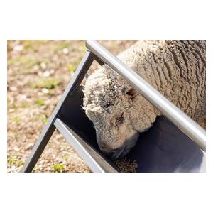 Commander Anti-Tip Feeder for Livestock Gray - Item # 51772