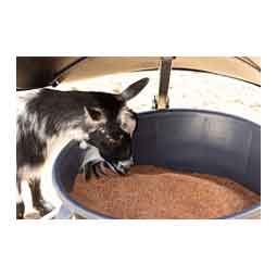 AeroGuard Mini Mineral Feeder Black/Gray - Item # 51776