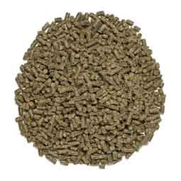SmartCombo Senior Pellets for Horses 6.2 lb (28 servings) - Item # 51842