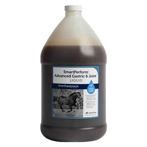 SmartPerform Advanced Gastric and Joint Liquid for Horses 1 gallon - Item # 51860