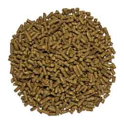 SmartStride Ultra Pellets for Horses 6.2 lb (28 servings) - Item # 51863
