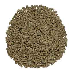 SmartVite Thrive Senior Pellets for Horses 10 lb (56 servings) - Item # 51867