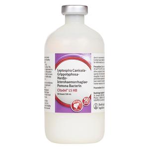 Citadel L5 HB Cattle Vaccine 50 dose - Item # 51952