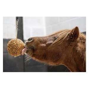 Likit Granola Stall Ball for Horses Mixed Berry - Item # 51983