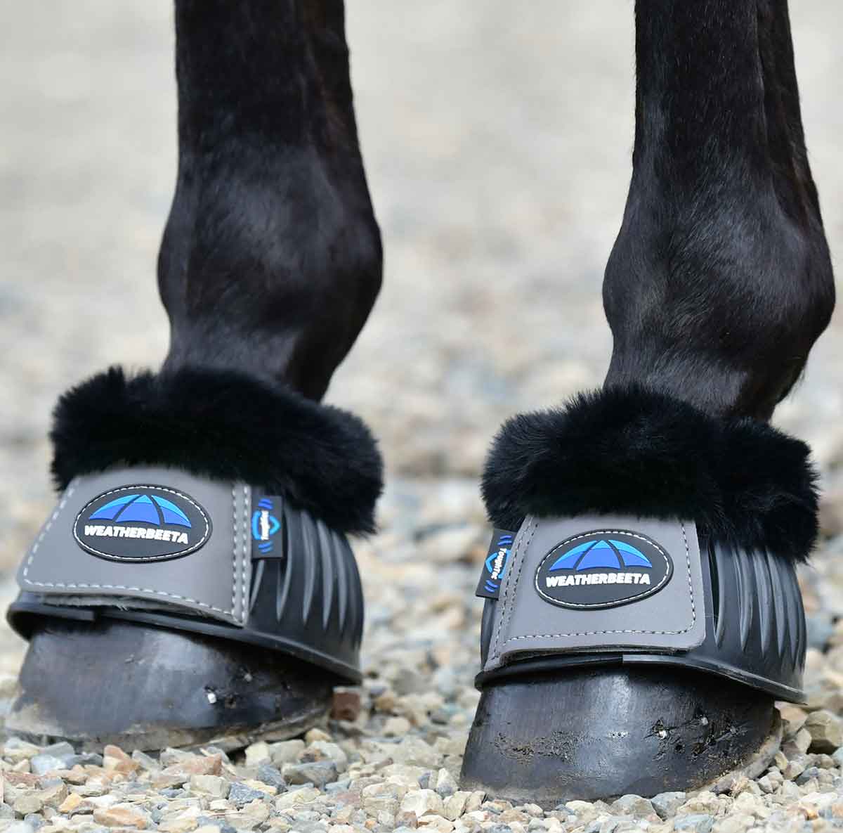 Guêtres pour cheval à graniture polaire Weatherbeeta Fleece Trim WEATHERBEETA Guêtres pour cheval à graniture polaire Weatherbeeta Fleece Trim WEATHERBEETA