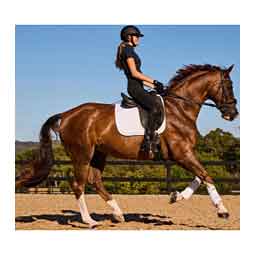 Prime Air-Tec Dressage Horse Saddle Pad White - Item # 52068