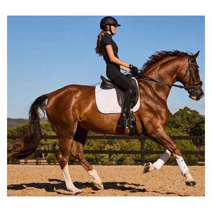 Prime Air-Tec Dressage Horse Saddle Pad White - Item # 52068