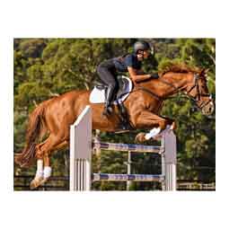 Prime Air-Tec Jump Shaped Horse Saddle Pad White - Item # 52069