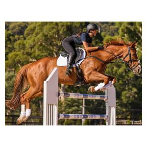 Prime Air-Tec Jump Shaped Horse Saddle Pad White - Item # 52069