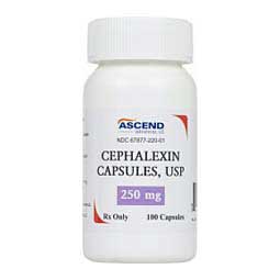 Cephalexin for Dogs & Cats 250 mg 100 ct - Item # 520RX