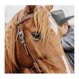 STS Ranch Engraved Buckle 3/4-in Harness Leather Browband Horse Headstall Floral - Item # 52128
